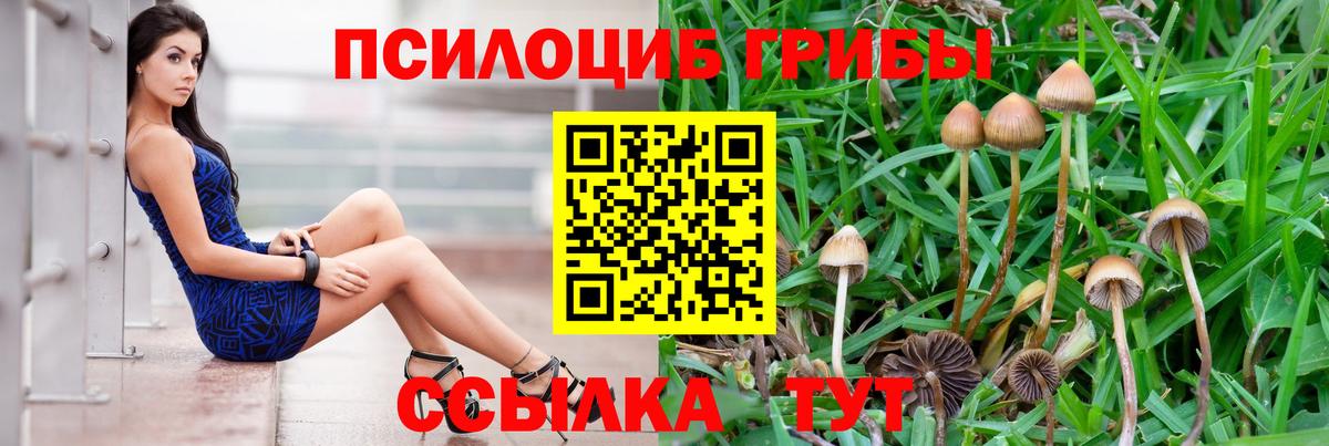 сколько стоит  Псилоцибиновые грибы мухоморы  Псилоцибиновые грибы Psilocybe  Вход с VPN  Архангельск 