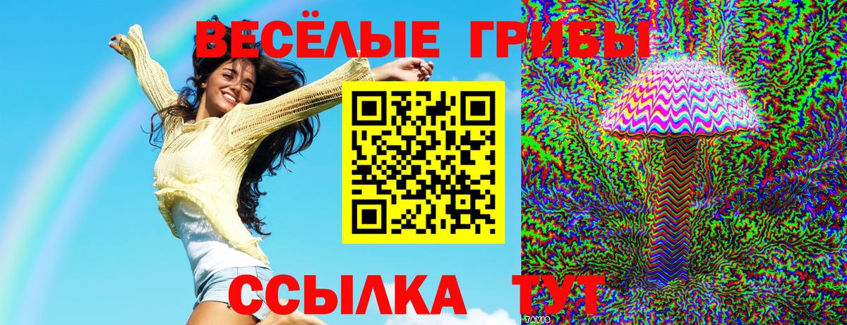 Галлюциногенные грибы мухоморы Архангельск
